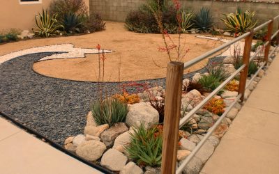 9 Tips on Creating a Desert-Themed Outdoor Garden