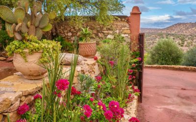 6 Great Tips to Successfully Garden in the Desert Climate